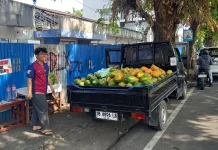 Penjual buah Pepaya Tetap Eksis di tengah Panas Berkepanjangan