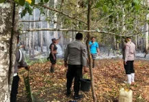 Polda Sulut Catat 370 Karhutla, Ribuan Hektare Lahan Terdampak