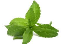 Daun Stevia, Pemanis Alami yang Berpotensi Memberikan Manfaat bagi Kesehatan