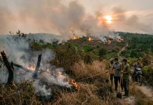 Karhutla Muncul di Banyak Daerah, Faktor Alam atau Ulah Manusia?