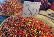 Harga Cabai Rawit di Pasar Bersehati Manado Mulai Turun, Rp100 ribu per Kilogram