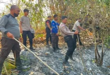 Lahan di Kanawong Siau Barat Terbakar, Petugas Padamkan Api