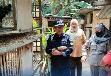 BRMP Sulut Pantau Perkembangan Ayam KUB di Tomohon