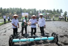 Tanam Padi Serempak PM-AAS Digelar di Minahasa Tenggara