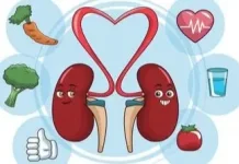 Langkah Sederhana Menjaga Ginjal Tetap Sehat Setiap Hari