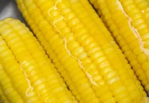 Jagung Rebus Bantu Kenyang saat Menjalani Program Diet