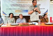 Hilirisasi Jagung-Kelapa Didorong untuk Tambah Pendapatan Petani