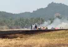 Kebakaran di Ujung Runway, Penerbangan Sam Ratulangi Terdampak