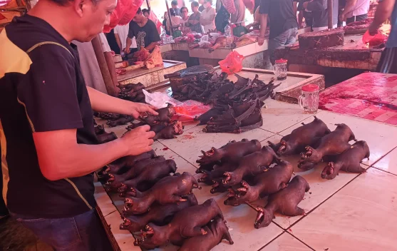 Jelang Paskah, Daging Extrim Banyak Diburu di Pasar Tomohon