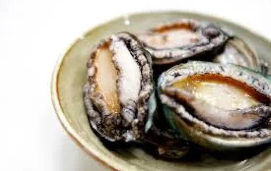 Kerang Abalon, Sumber Protein Laut Kaya Nutrisi - RRI.co.id