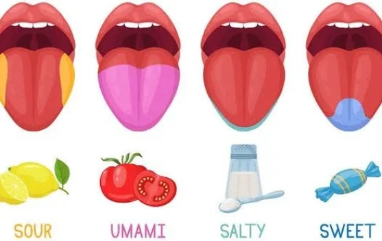 Bagaimana Manusia Mengenali Rasa Makanan? - RRI.co.id
