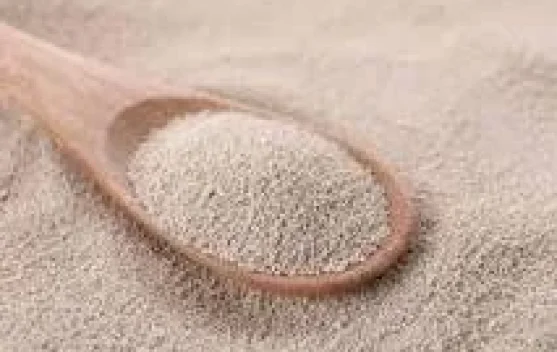 Perubahan Besar Berawal dari yang Kecil: Filosofi Ragi