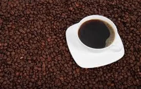 Gaya Hidup Sehat, Peran Kopi dalam Menjaga Fungsi Tubuh