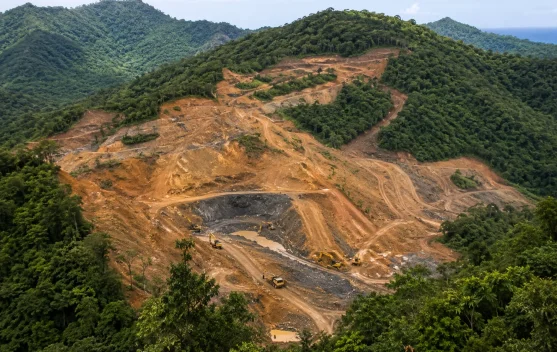 Kejari Bolmut Beberkan Alasan Tambang di Hutan Lindung Dibatasi