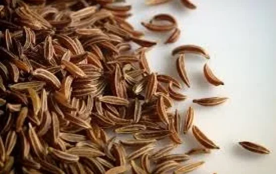 Jinten, Bumbu Dapur Kaya Nutrisi Antioksidan dan Zat Besi
