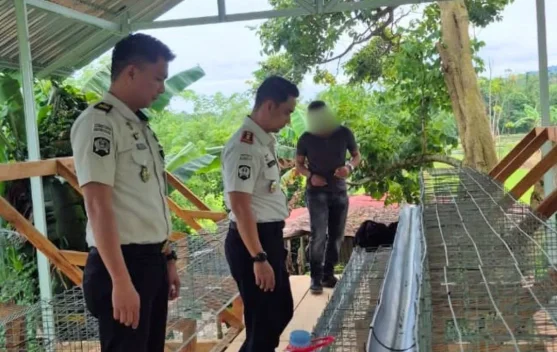 Lapas Tondano Kembangkan Peternakan Ayam Petelur untuk Bekal Warga Binaan