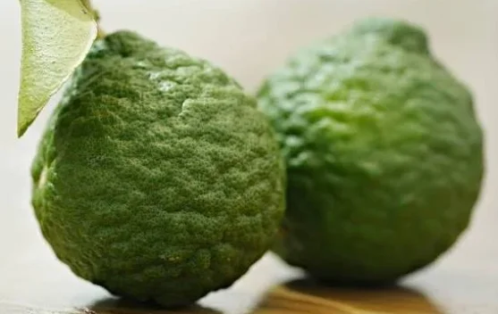 Jeruk Purut, Si Hijau Kecil dengan Kandungan Nutrisi yang Besar