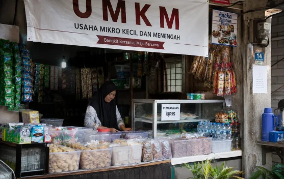 UMKM: Penggerak Ekonomi dan Peluang Usaha di Indonesia