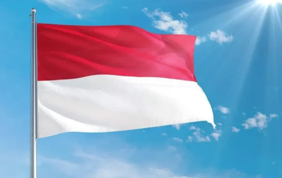 Sejarah di Balik Kemiripan Bendera Indonesia dan Monaco