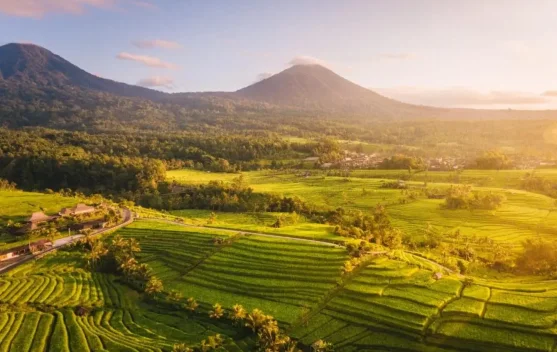 Desa Jatiluwih Bali, Lebih dari Sekadar Desa Wisata