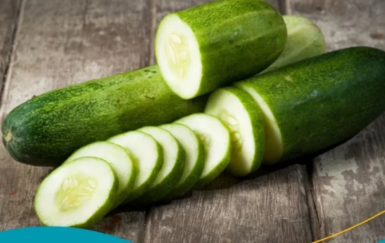 Manfaat Mentimun Bagi Kesehatan Tubuh