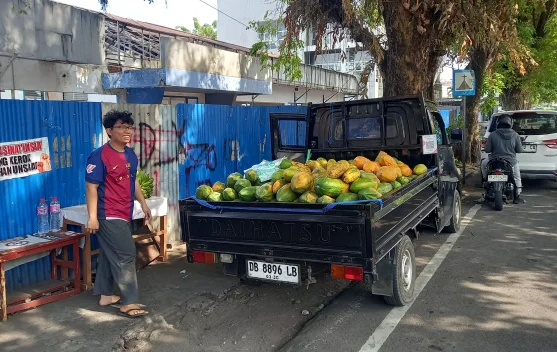 Penjual buah Pepaya Tetap Eksis di tengah Panas Berkepanjangan
