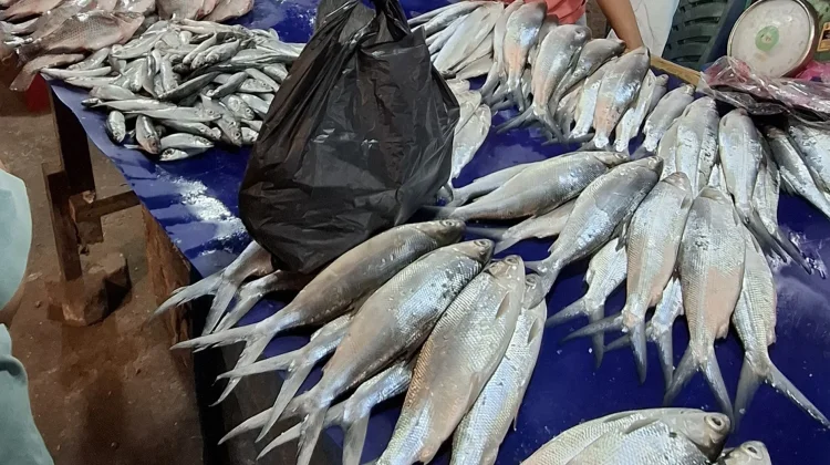Ikan Bandeng Kaya Nutrisi, Ahli Gizi Anjurkan Konsumsi Rutin