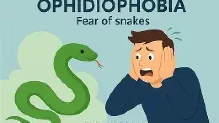 Kenali Ophidiophobia, Fobia Ular yang Berbahaya