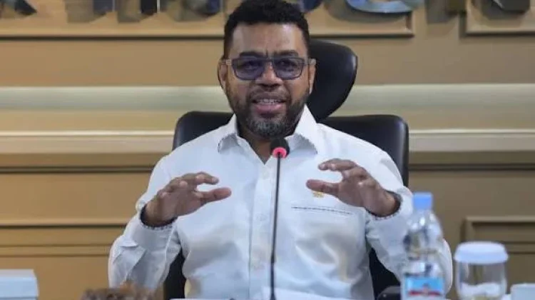 Komite III DPD RI Soroti Pemberhentian 235 Nakes Honorer di Manokwari