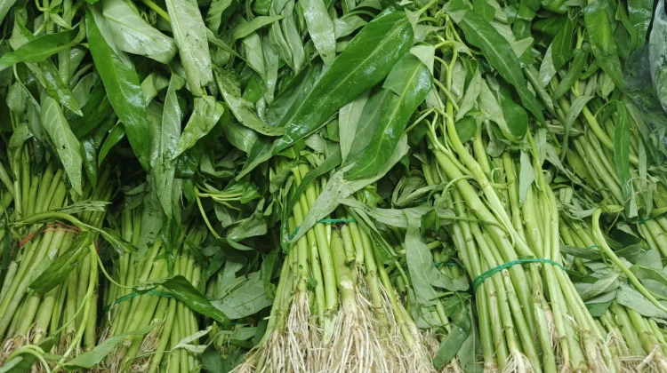 Fakta atau Mitos Makan Sayur Kangkung Membuat Mengantuk