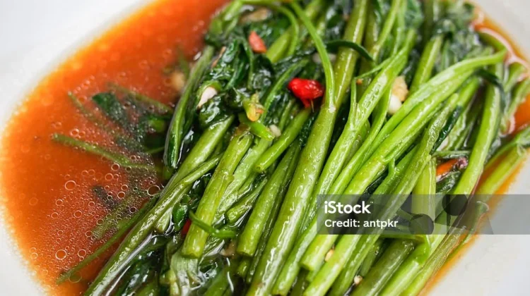 Kangkung Itu Sederhana, Manfaatnya Bukan Kaleng-kaleng