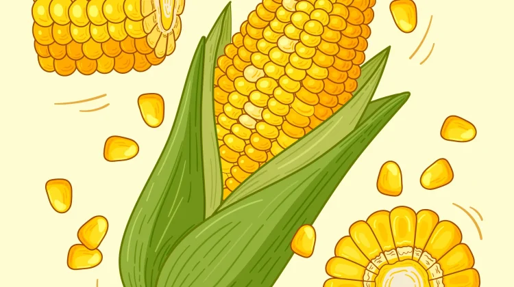 Manfaat Jagung Lengkap dan Ragam Olahannya yang Lezat