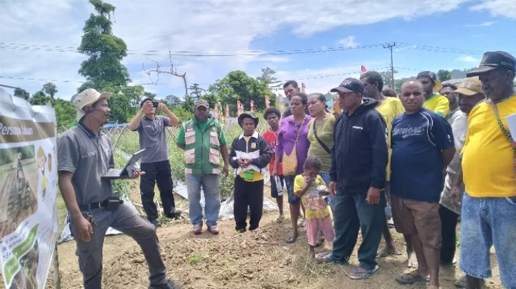 Farmers Field Day Dorong Produktivitas Petani Hortikultura