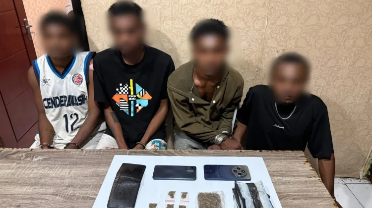 Polresta Manokwari Ungkap Peredaran Narkotika Jenis Ganja