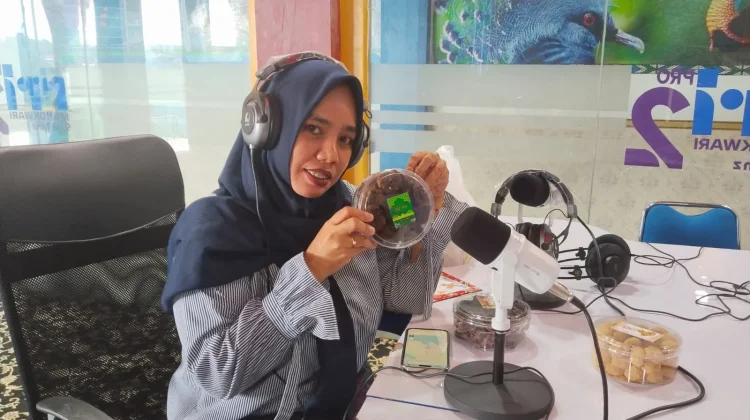 Peluang Ekonomi bagi Anak Muda yang Kreatif