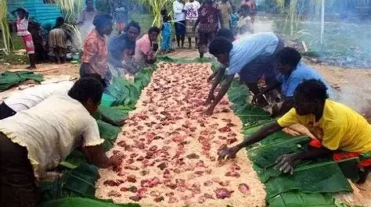 Sagu Sep Makanan Khas Papua Selatan