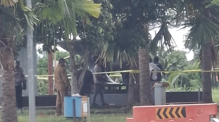 Terduga Pencuri Patung Kasuari Jalani Olah TKP di Kantor Gubernur Papua Barat