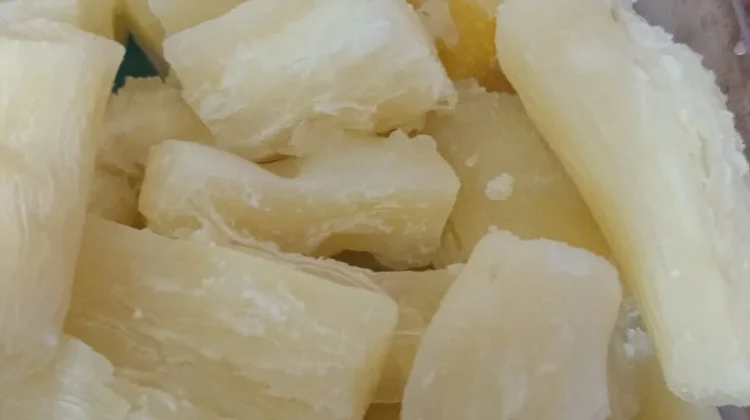 Manfaat Konsumsi Singkong Rebus bagi Kesehatan