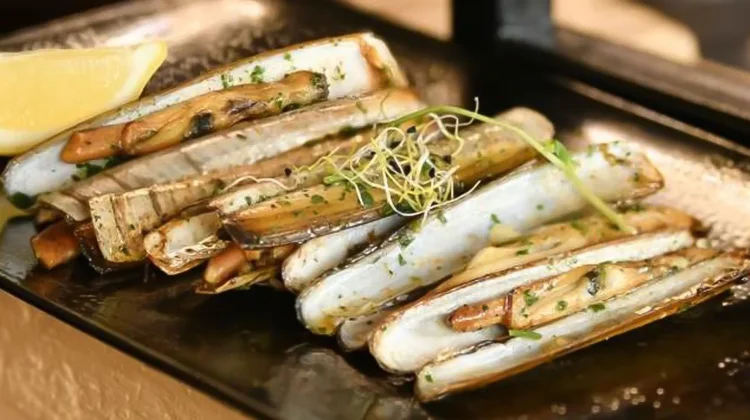 Mengenal Kerang Bambu, Kuliner Eksotis Nan Lezat