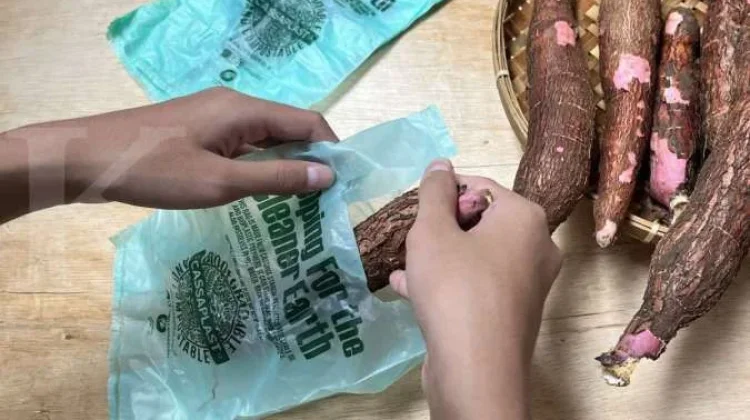 Kantong singkong solusi ramah lingkungan untuk mengurangi sampah plastik