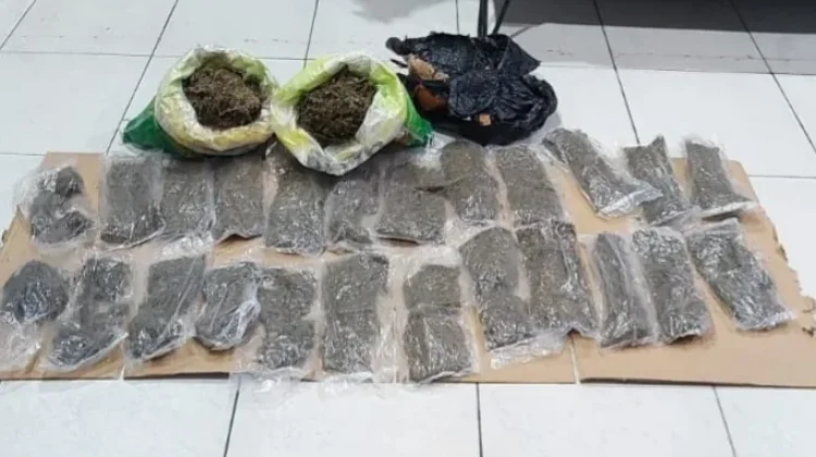Polisi Ungkap Peredaran Ganja di Pelabuhan Manokwari