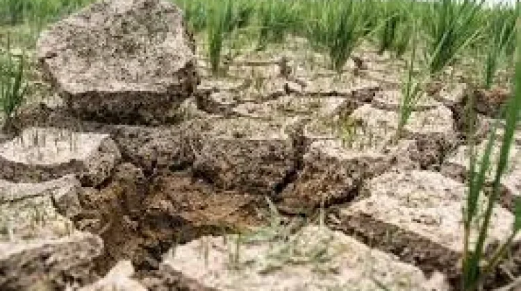 Dari Samudra Pasifik, El Nino Mengguncang Sistem Iklim