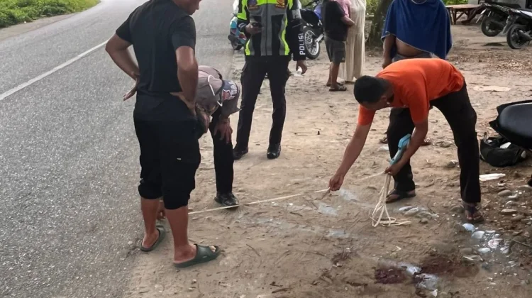 Kecelakaan Tunggal di Tikungan Bintuni, Pengendara Tewas