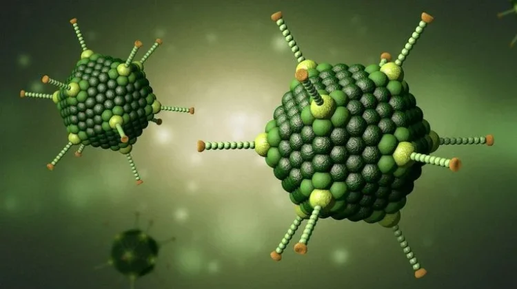 Virus yang bisa Menyerang Anak dan Dewasa