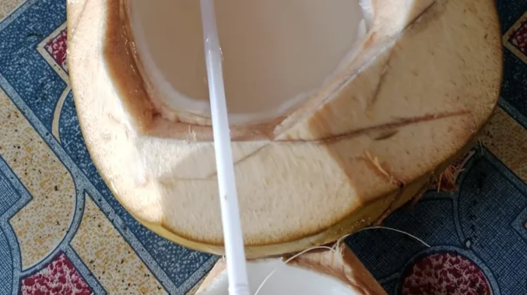 Manfaat Minum Air Kelapa Muda