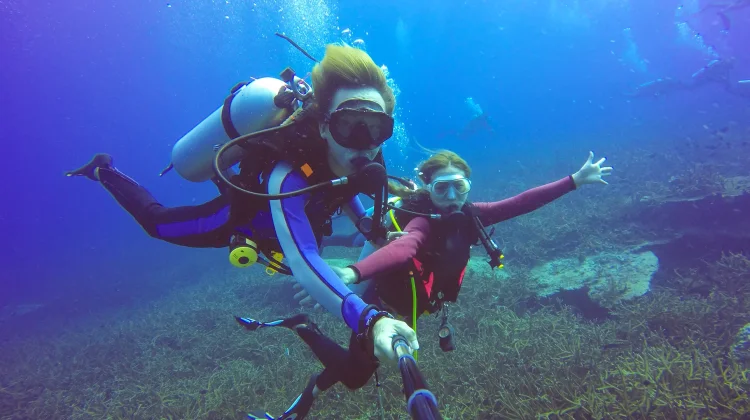 Mengenal Dunia Scuba Diving dan Pesona Kehidupan Bawah Laut