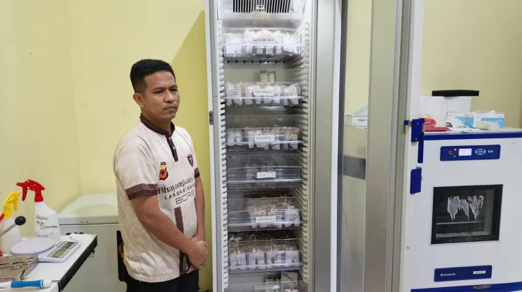 PMI Papua Barat Luruskan Persepsi Soal Biaya Pengambilan Darah