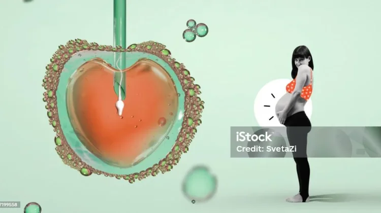 Mengenal Egg Freezing Teknologi Menyimpan Sel Telur
