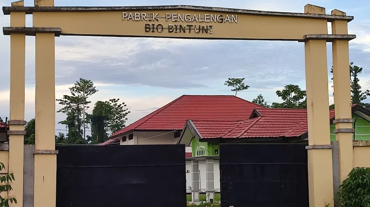 Pabrik Pengalengan Bintuni Belum Beroperasi Terkendala Izin BPOM