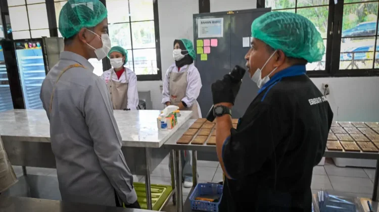 Kunjungan Wapres Buka Peluang Besar Pengembangan Kakao di Manokwari Selatan